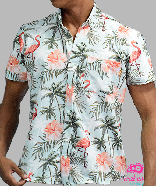 Camisa Playera Flamencos Fondo Azul Cielo