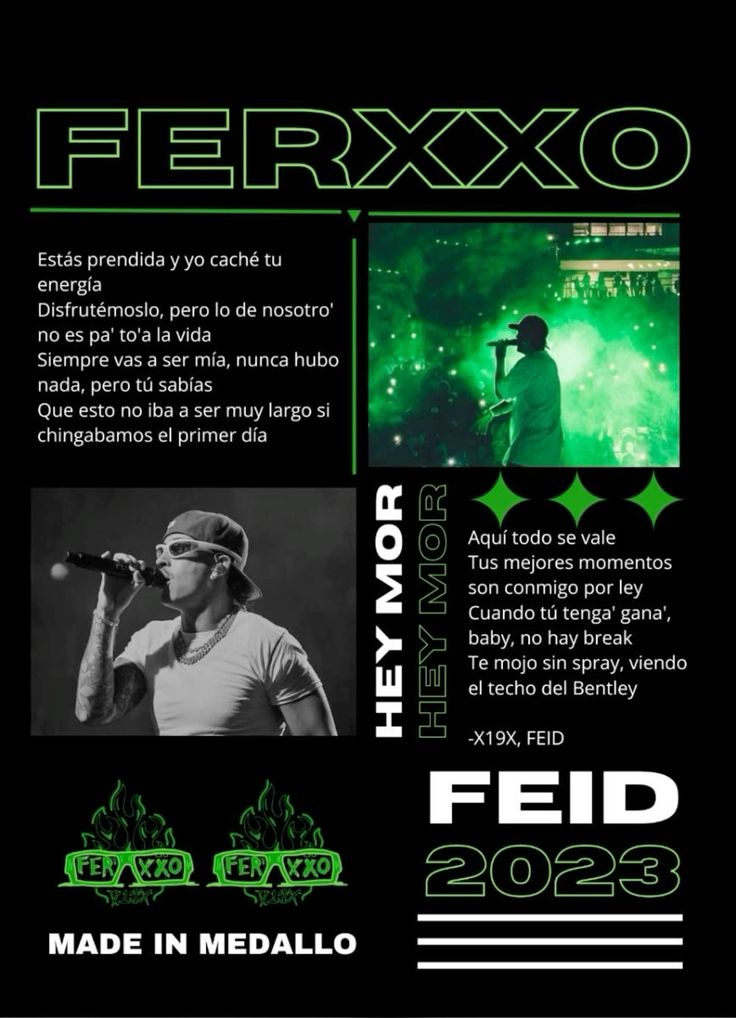 Camiseta Artistas Negra Ferxxo