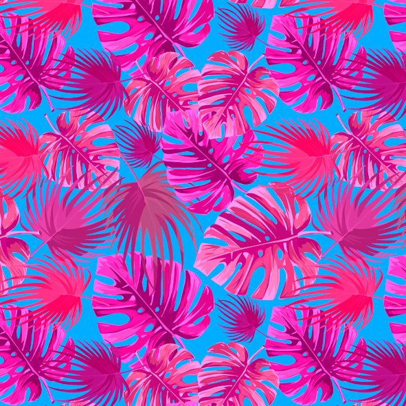 NC 002