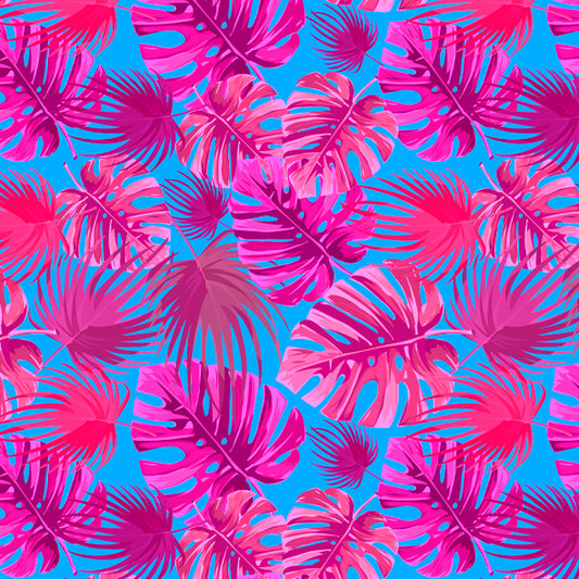 NC 002