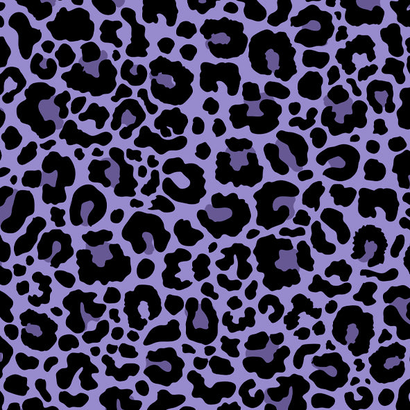 NC 178